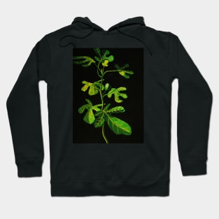 Ficus Hoodie